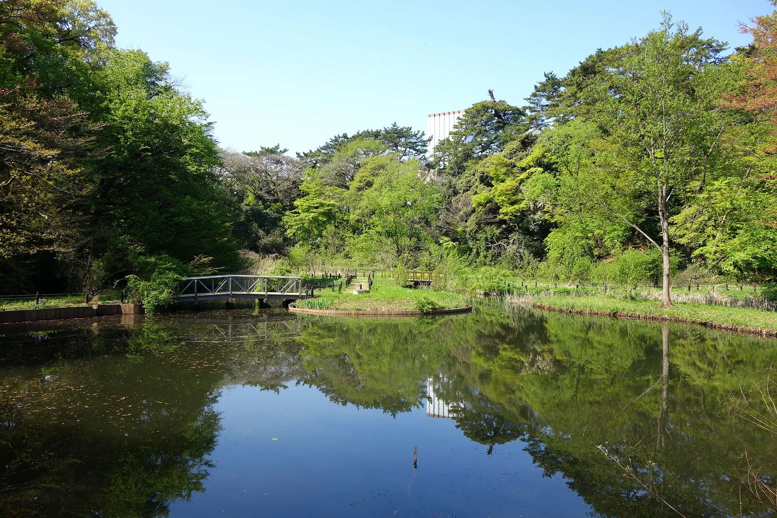国立科学博物館附属自然教育園