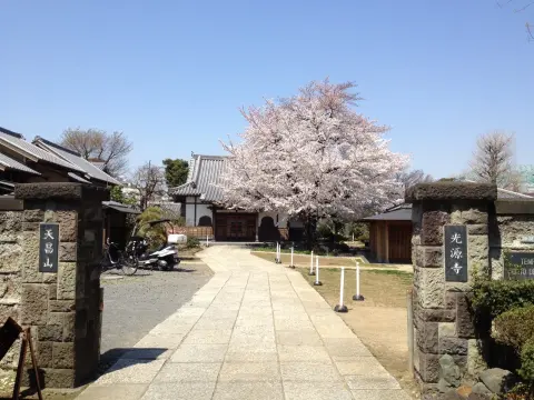 光源寺