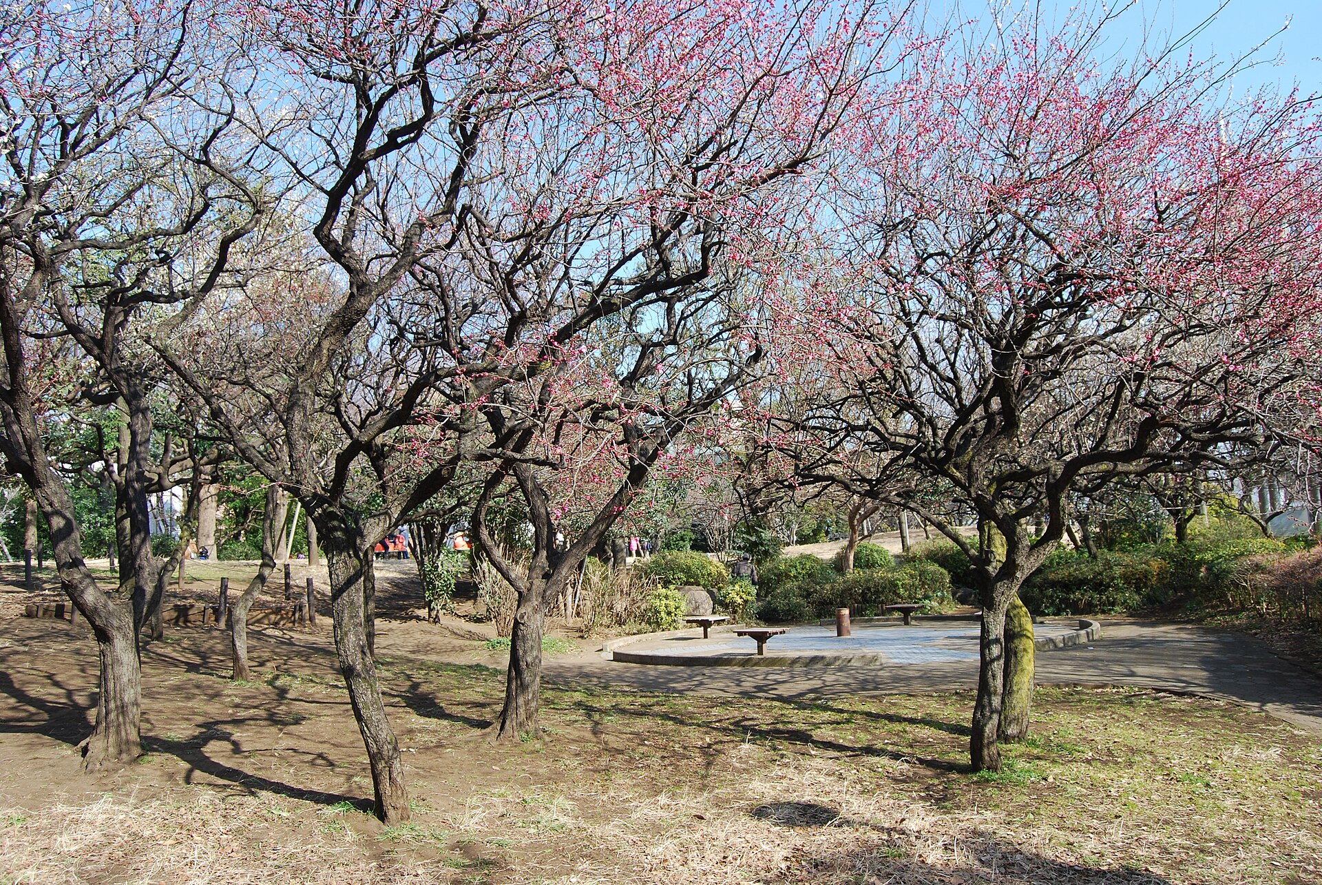 西郷山公園