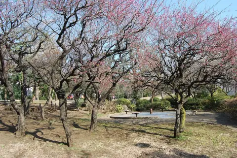 西郷山公園