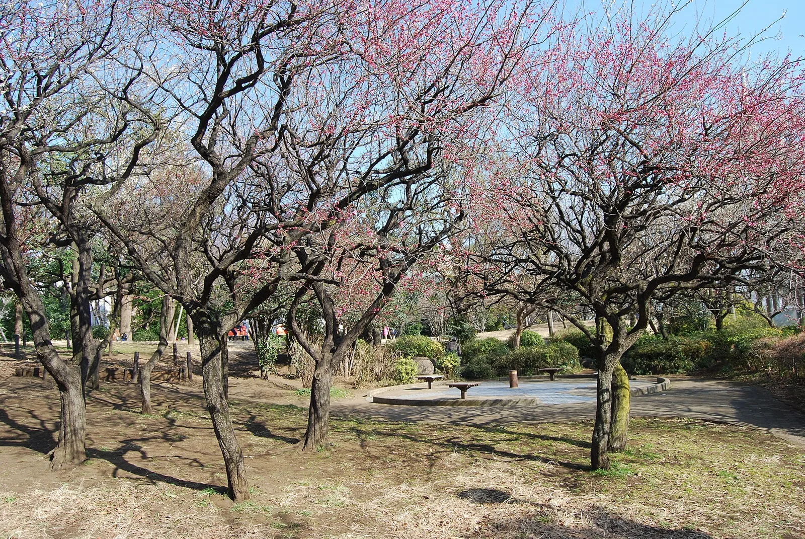 西郷山公園