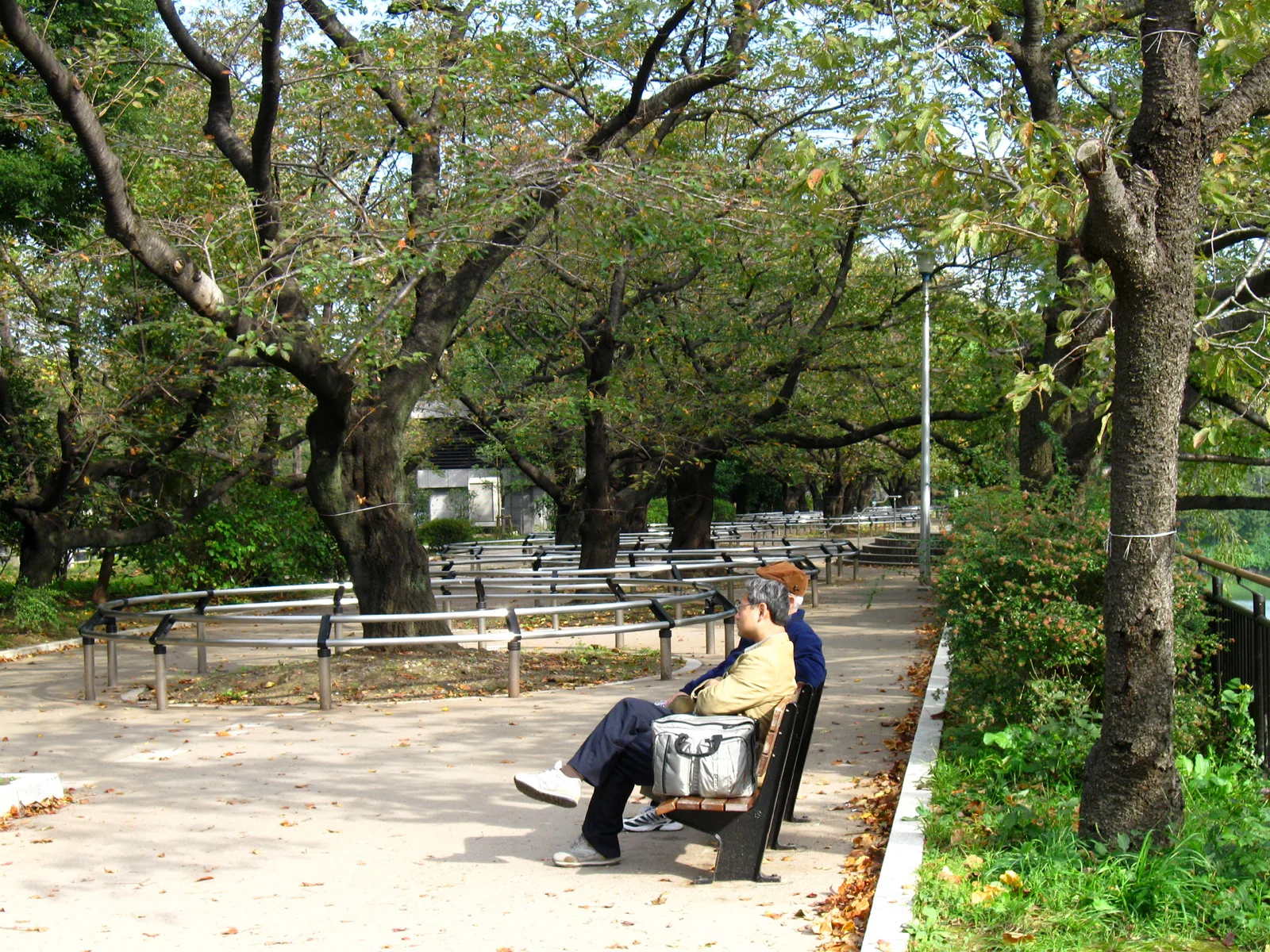 千鳥ヶ淵公園