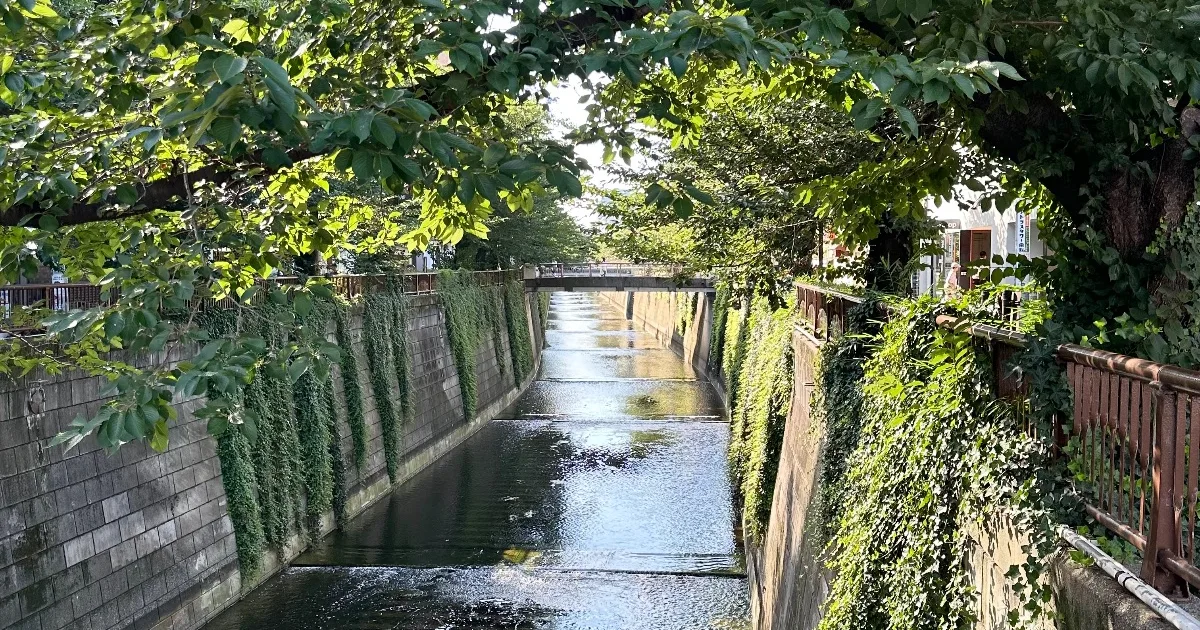 目黒川
