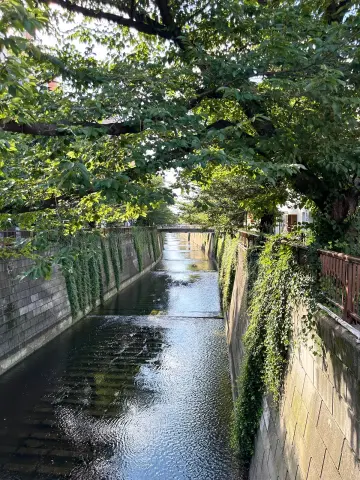 目黒川